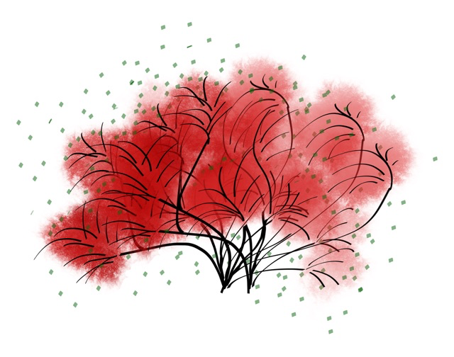 EL-Sorties Festives.webp